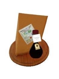 bio gourmet - Set degustazione. Parmigiano-Reggiano biologico, D.O.P. 24 mesi / Aceto balsamico biologico